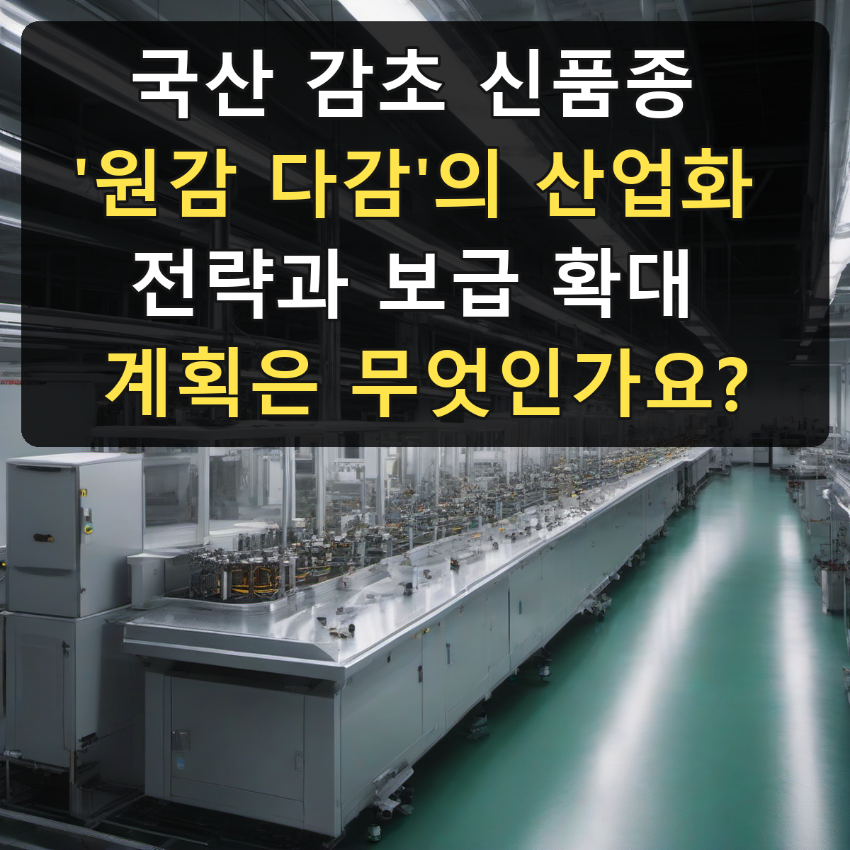 국산 감초 신품종 '원감 다감'의 산업화 전략과 보급 확대 계획은 무엇인가요?