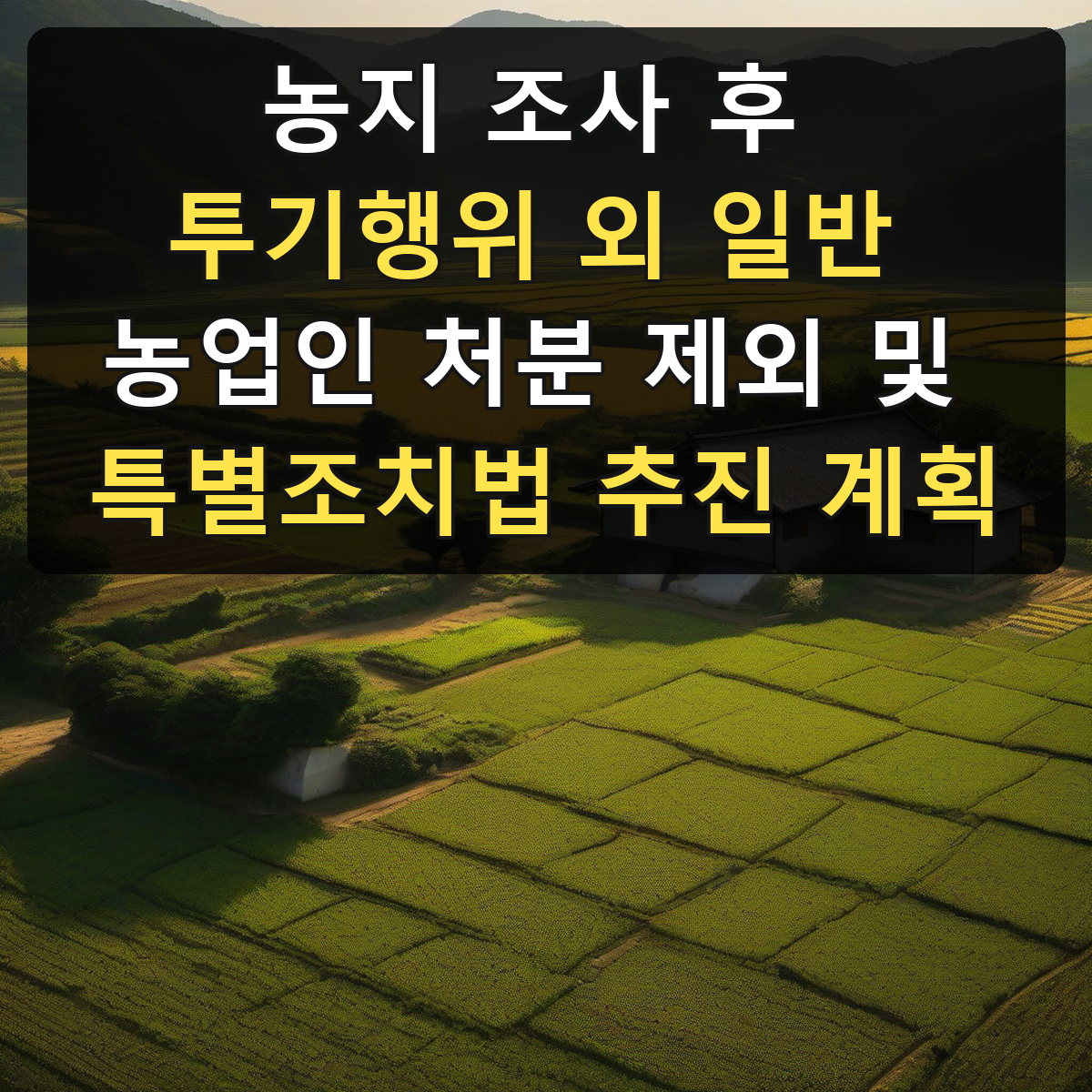 농지 조사 후 투기행위 외 일반 농업인 처분 제외 및 특별조치법 추진 계획